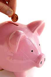 Low Carb Seems Expensive: How Can I Save Less? Picture of a Piggy Bank: Saving Money on Low Carb.