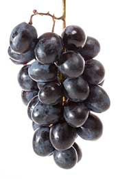 Black Grapes Are Rich in Anthocyanin Polyphenols. Picture of a Bunch of Black Grapes Clumped Together.