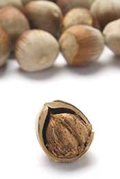 Hazelnuts Are Rich in Polyphenolic Compounds. Several Hazelnuts With Cracked Shells.