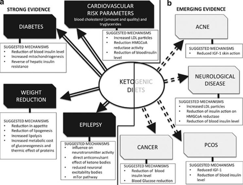 Diagram Showing the Proven and Theoretical Health Benefits of Ketogenic Diets