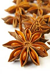 Star Anise: The Second Biggest Source of Polyphenols in the World. Picture of Star Anise Seeds in Their Flower.