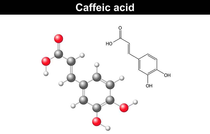 Coffee Contains the Health-Protective Polyphenol Called Caffeic Acid. The Molecular Structure of Caffeic Acid - a Major Coffee Polyphenol.