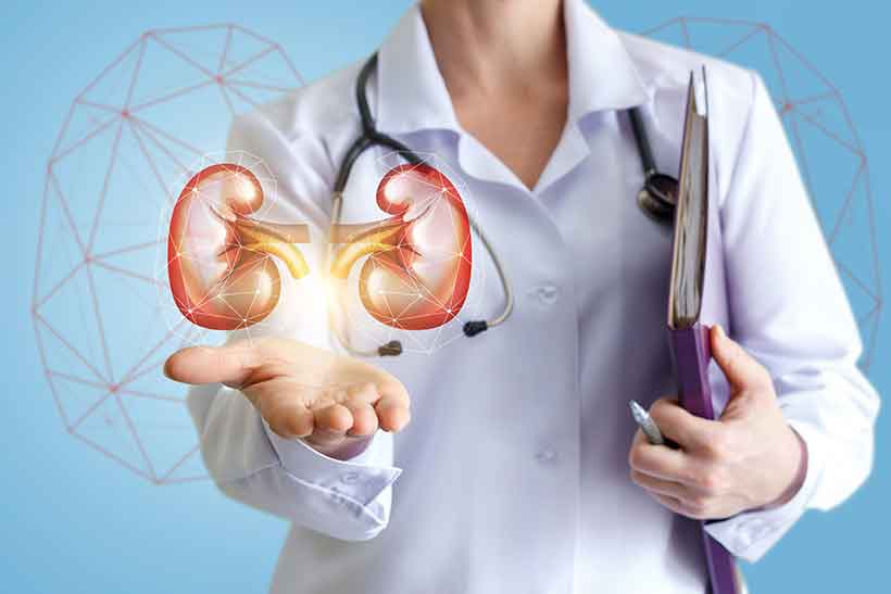 Who Shouldn't Do a High Protein, Low Carb Diet? Doctor Showing a Hologram Design of Two Kidneys.