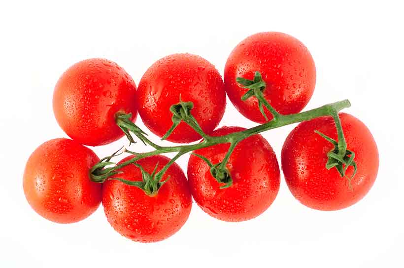 Tomatoes Are a Nutritious Fruit That Contain Lycopene. Fresh Red Tomatoes On Their Vine.