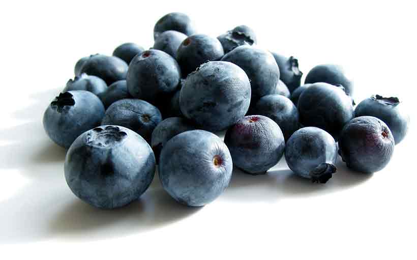 Blueberries Are Full of Anthocyanin Polyphenols. A Handful of Fresh Blueberries.