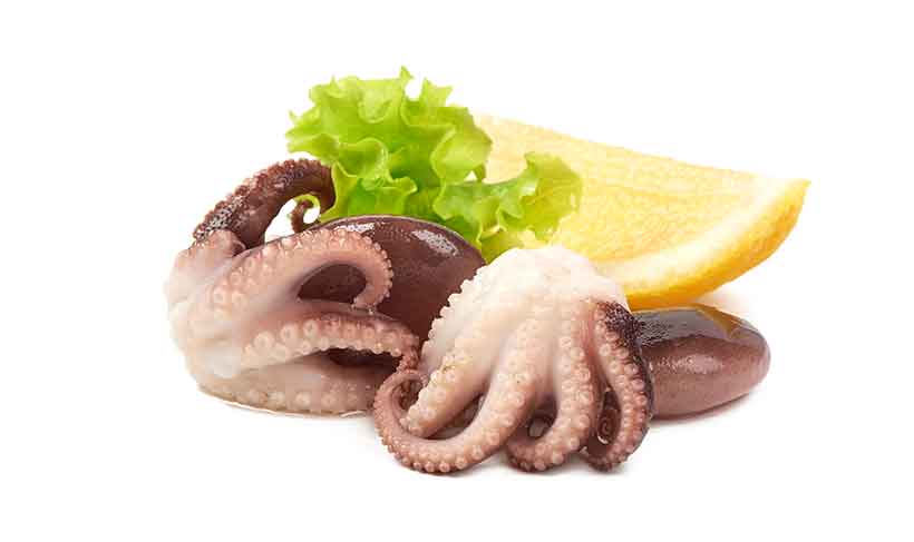 Octopus May Be Strange To Some, But It's Very Nutritious. Freshly Prepared Octopus With a Slice of Lemon.