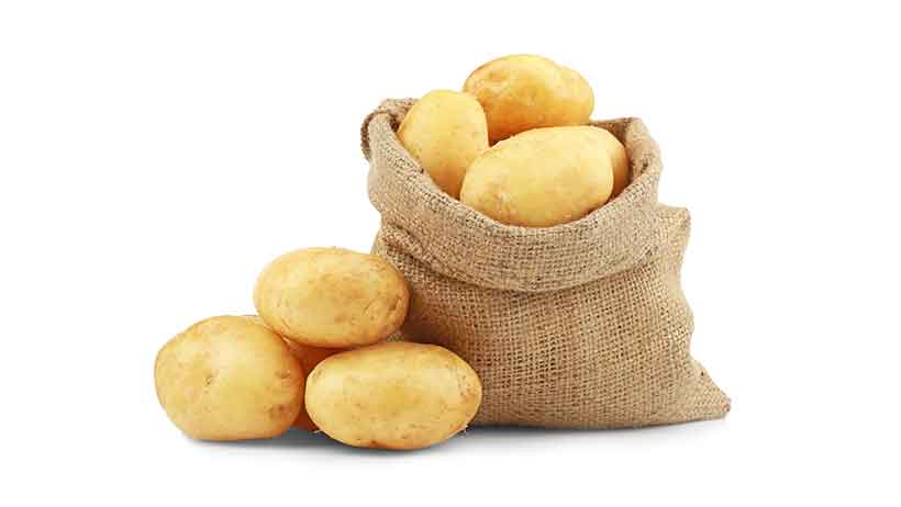 Potatoes Are a Typical Western Staple Food. A Sack of Fresh Potatoes.