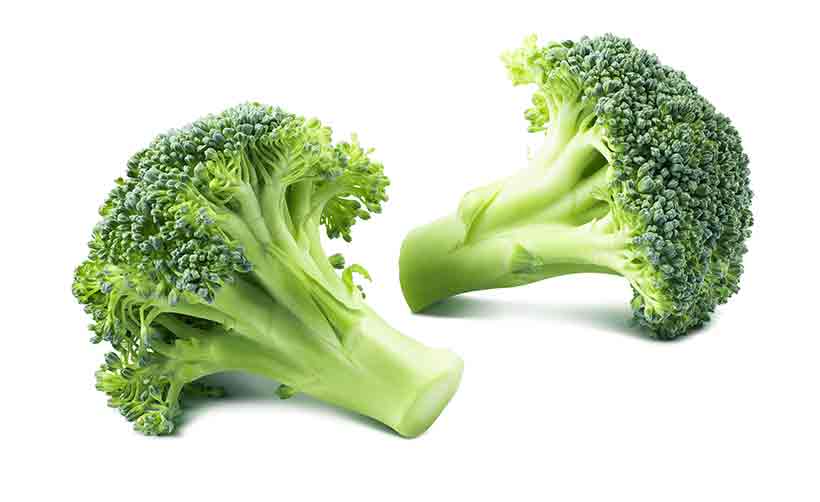 Broccoli is One of the Healthiest Vegetables. Two Pieces of Broccoli.