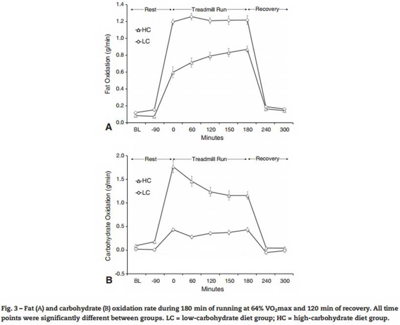 Fat Oxidation Rate in Keto-Adapted Athletes Compared to High Carbohydrate Athletes