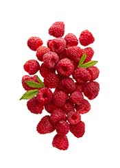 A Clump of Fresh Raspberries,