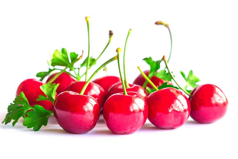 Fresh Red Sweet Cherries With Their Stems and Leaves.