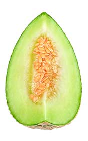 A Melon Slice Showing Inner Flesh and Seeds.