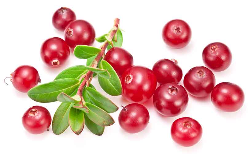 Ripe Red Cranberries With Green Leaves.