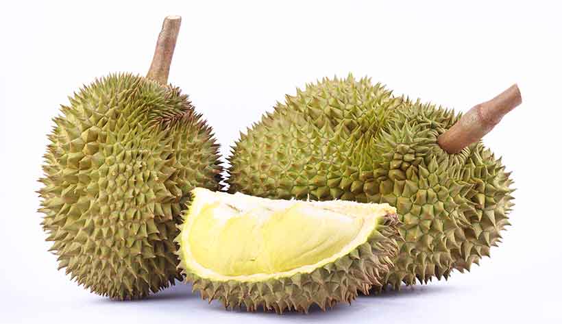 Whole Durian Fruit and One Slice Showing Flesh.