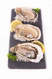 Fresh Oysters With Slices of Lemon.